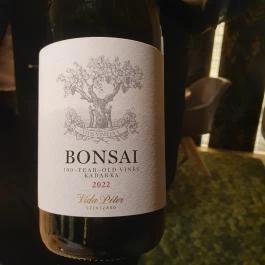 Platán Gourmet Étterem Tata - Egyéb