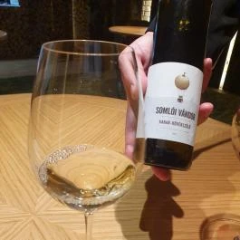 Platán Gourmet Étterem Tata - Egyéb