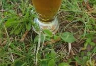 Pléh Büfé Balatonszemes