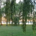 Pléh Büfé Balatonszemes - Egyéb