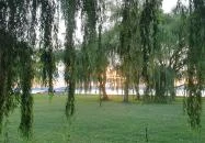 Pléh Büfé Balatonszemes