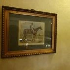 Polo Pub Budapest - Egyéb