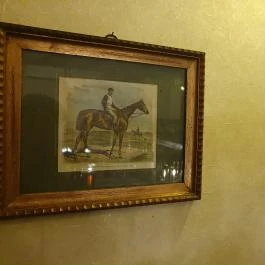 Polo Pub Budapest - Egyéb