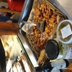 Pörc Balatonkenese - Étel/ital