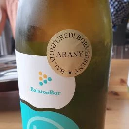 Pörc Balatonkenese - Egyéb