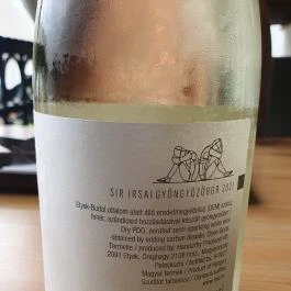 Pörc Balatonkenese - Egyéb