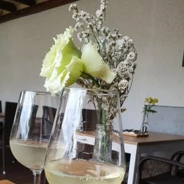 Pörc Balatonkenese - Egyéb