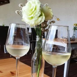 Pörc Balatonkenese - Egyéb