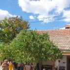 Poroszlói Rétesház Poroszló - Egyéb