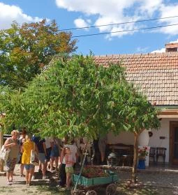 Poroszlói Rétesház