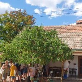 Poroszlói Rétesház Poroszló - Egyéb