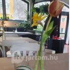 Postakocsi Bisztró Dorog - Egyéb