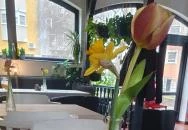 Postakocsi Bisztró Dorog