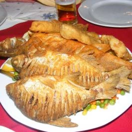 Potykacsárda Baja - Étel/ital