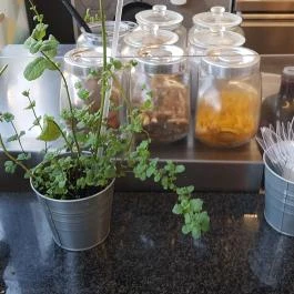 Pre-Go, Budapest - Belső