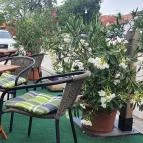 Prosit Bar & Café Budakeszi - Külső kép