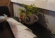 Puhakuckó Kávézó Székesfehérvár