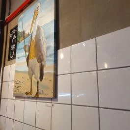 Puhakuckó Kávézó, Székesfehérvár - Egyéb