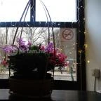 Quán Nón Vietnámi Étterem - Erzsébet tér Budapest - Egyéb