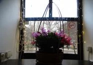 Quán Nón Vietnámi Étterem - Erzsébet tér Budapest