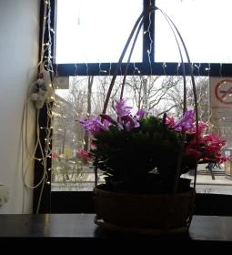 Quán Nón Vietnámi Étterem - Erzsébet tér