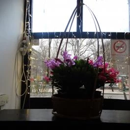 Quán Nón Vietnámi Étterem - Erzsébet tér, Budapest - Egyéb