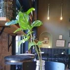 Rajkai Espresso Budapest - Egyéb