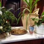 Rákóczi Cukrászda Hatvan - Belső