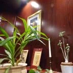 Rákóczi Cukrászda Hatvan - Belső