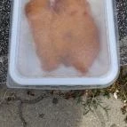 Ré-Nó Ételbár Érd - Egyéb