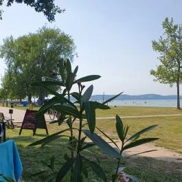 Red Burger, Zamárdi - Egyéb