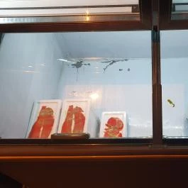 Red Lantern, Budapest - Egyéb