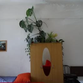 Régiposta Apartman Miskolc - Belső
