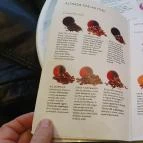 REÖK Kézműves Cukrászda Szeged - Egyéb