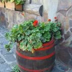 Retro Kisvendéglő Kiskunlacháza - Egyéb