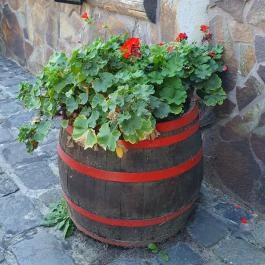 Retro Kisvendéglő, Kiskunlacháza - Egyéb