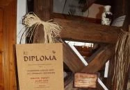 Riczu-Stier Gasztropince Villány