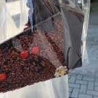 Rimóczi-Art Csokoládé Grillázs Szalon Lajosmizse - Étel/ital