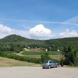 Tölgyes Kúria - Riza Badacsonytomaj - Egyéb