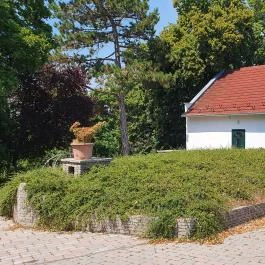 Tölgyes Kúria - Riza Badacsonytomaj - Egyéb