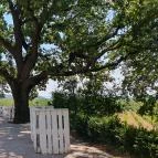 Tölgyes Kúria - Riza Badacsonytomaj - Egyéb