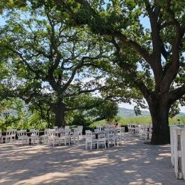 Tölgyes Kúria - Riza Badacsonytomaj - Egyéb