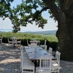 Tölgyes Kúria - Riza Badacsonytomaj - Egyéb