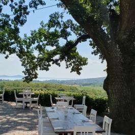 Tölgyes Kúria - Riza Badacsonytomaj - Egyéb