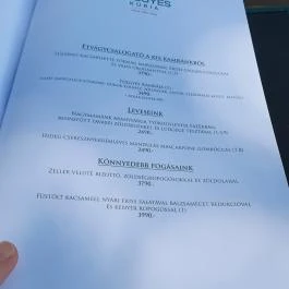 Tölgyes Kúria - Riza Badacsonytomaj - Egyéb