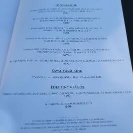 Tölgyes Kúria - Riza Badacsonytomaj - Egyéb