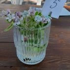 Tölgyes Kúria - Riza Badacsonytomaj - Egyéb