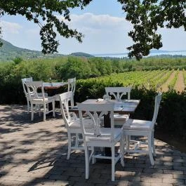 Tölgyes Kúria - Riza Badacsonytomaj - Egyéb