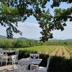 Tölgyes Kúria - Riza Badacsonytomaj - Egyéb