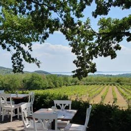 Tölgyes Kúria - Riza Badacsonytomaj - Egyéb